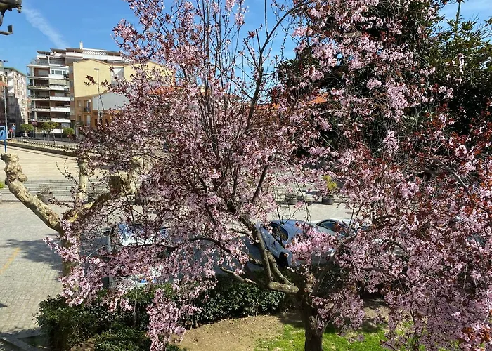 Apartamento Dacosta