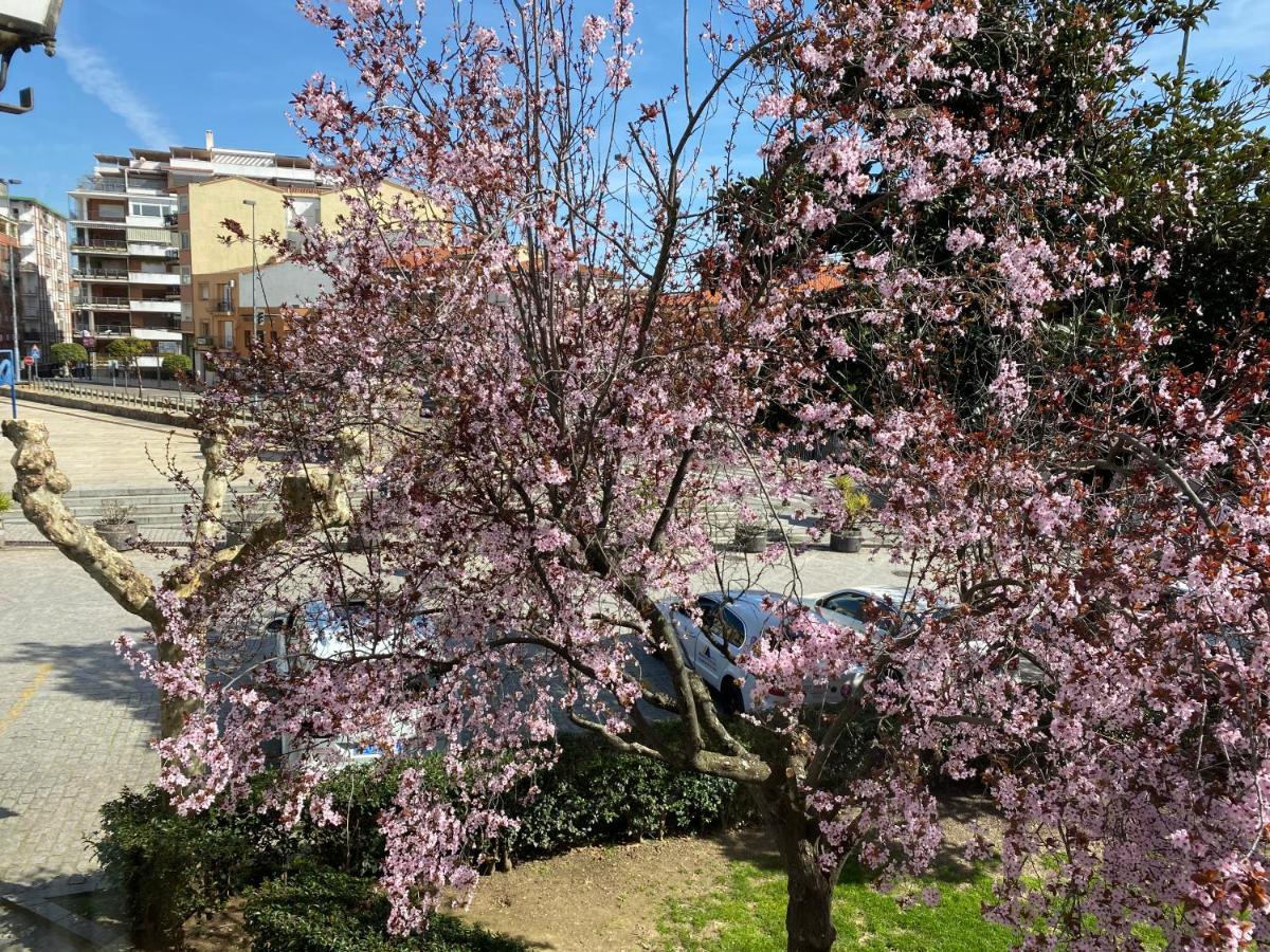Dacosta Apartment Plasencia